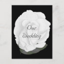 Search for black and white rose postcards Beautiful