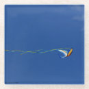 Search for macaw coasters Bird