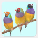 Search for finch stickers Avian