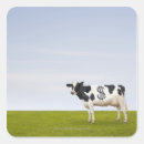 Search for holstein stickers Outdoors