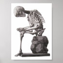Search for skeleton anatomy posters Illustration