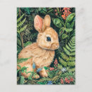 Search for bunny drawing postcards Nature