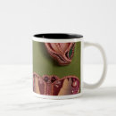 Search for enamel mugs French