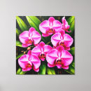 Search for environment canvas prints Nature