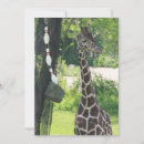 Search for giraffe vertical note cards Wildlife