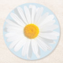 Search for daisy coasters White