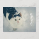 Search for aesthetics horizontal postcards Friend