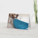 Search for on your new puppy congratulations cards Cute