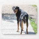 Search for rottweilers standard mouse mats Black