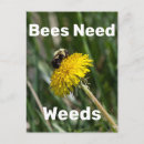 Search for need postcards Nature