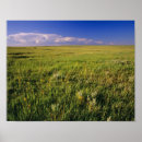 Search for remote posters No people