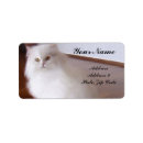 Search for return address posters Photography