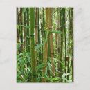 Search for green stems postcards Leaves