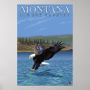 Search for original eagle posters Diving