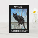 Search for veterinarian birthday cards Co worker