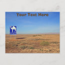 Search for camels postcards Sahara