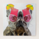 Search for dog with glasses puzzles French bulldog