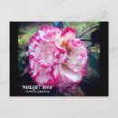 Search for camellia postcards Japonica