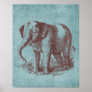Search for vintage elephants posters Animals