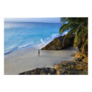 Search for ansi Tropical