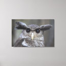 Search for front view canvas prints Japan