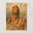 Search for lionesses postcards Lions