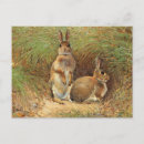 Search for bunny painting postcards Animal