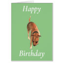 Search for staffordshire bull terrier birthday cards Animal