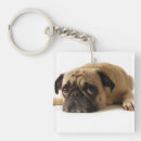 Search for sad animal key rings Pet