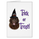 Search for newfoundland dog postcards Canine