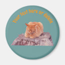 Search for animal magnets Cute