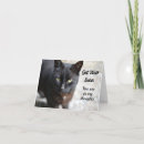 Search for black cat get well cards Feline