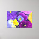 Search for flora canvas prints Vibrant