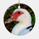 Search for white duck christmas tree decorations Animal