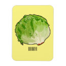 Search for lettuce magnets Sandwich