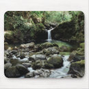 Search for flows mouse mats Superstock