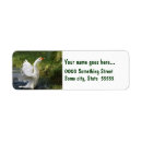 Search for wings return address labels White