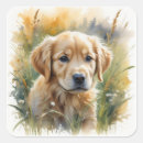 Search for golden sunset stickers Nature