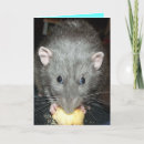 Search for rat birthday cards Cake
