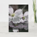 Search for beliefs cards Christian