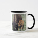 Search for usa national park mugs Bison