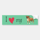 Search for staffordshire bull terrier bumper stickers Staffie
