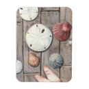 Search for treasurable magnets Seashell