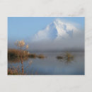 Search for featured postcards White
