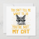 Search for funny kitty invitations Lover