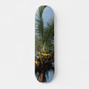 Search for coconuts skateboards Palm tree