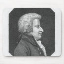 Search for wolfgang amadeus electronics Austrian
