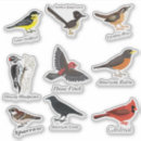 Search for backyard bird stickers Cardinal