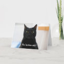 Search for cat face invitations Funny