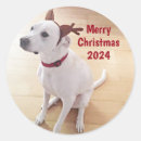 Search for cute reindeer stickers Antlers